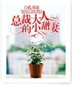 总裁大人的小甜妻